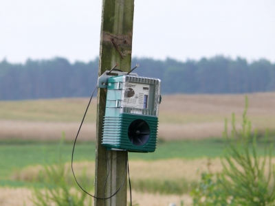 Elektroniczny odstraszacz ptaków emituje dźwięki płoszące ptaki